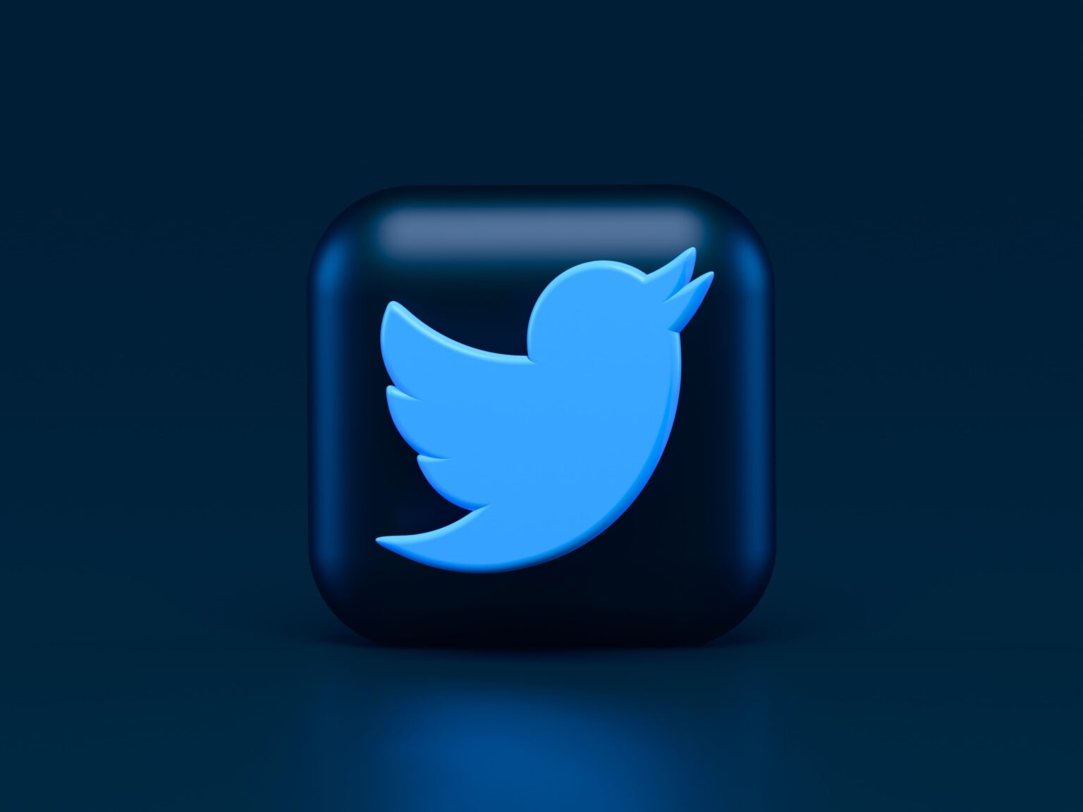 How to display your Twitter feed on your WordPress website