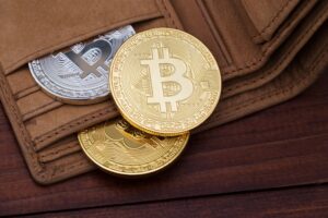 The best Bitcoin wallets in 2023 If you're looking for the best Bitcoin wallet, you've come to the right place! We've compiled a list of the top 5 wallets for storing your Bitcoins.