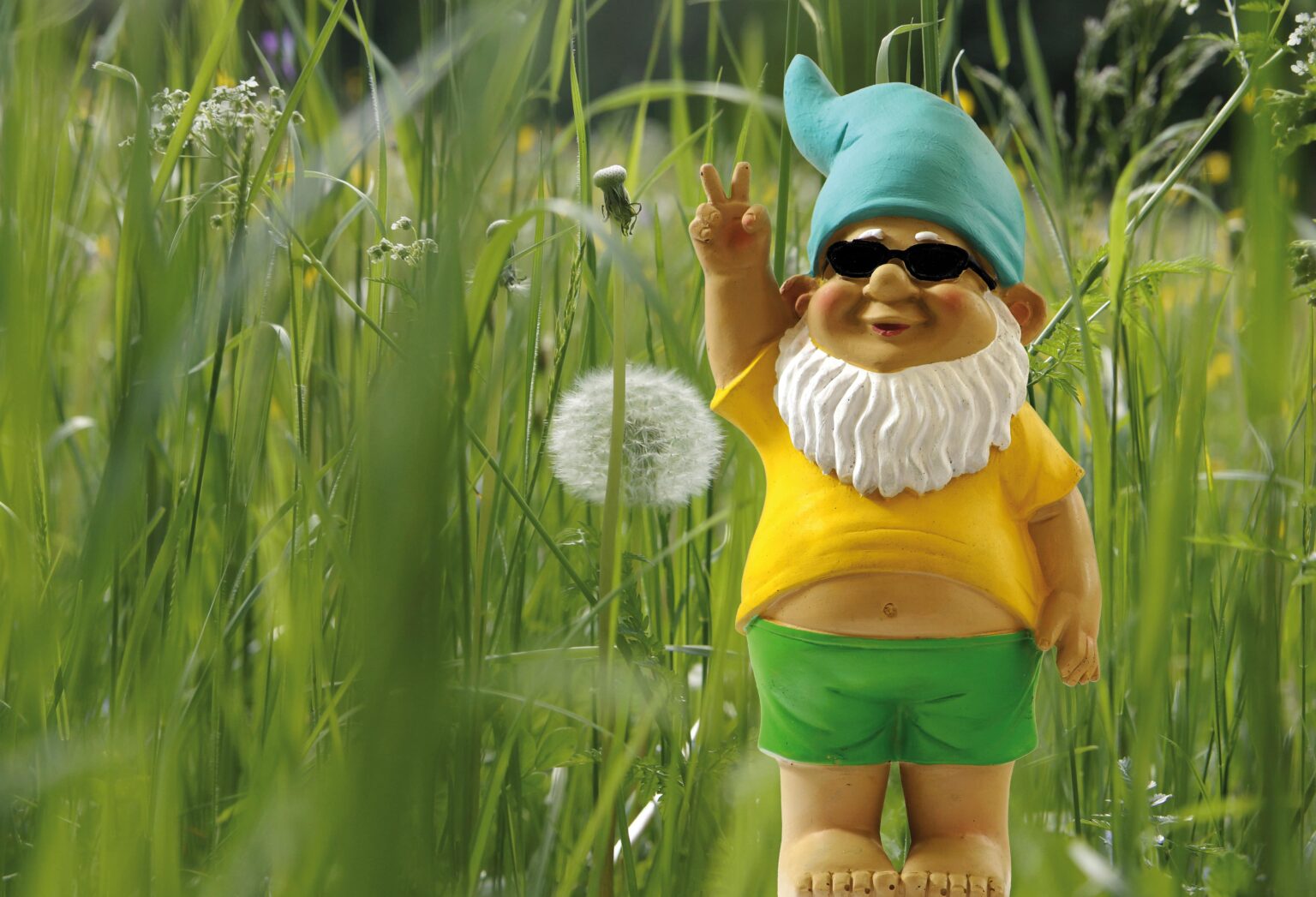 These are the best garden gnomes you can buy in 2022. They are sturdy and cute.